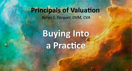 Buying Into a Practice
