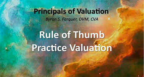 Rule of Thumb Practice Valuation