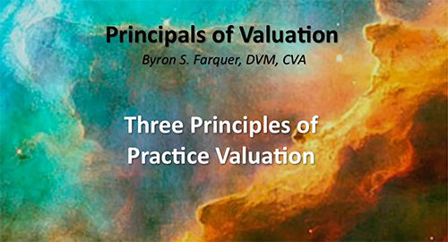 Three Principles of Practice Valuation
